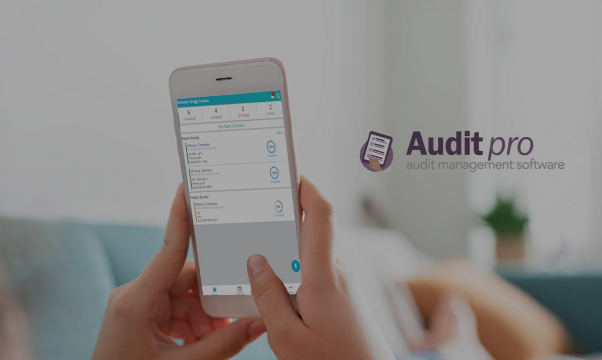 software-service-provider-in-michigan-uses-audit-mobile-app